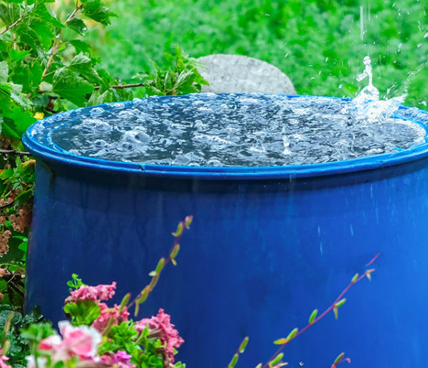 Quelle aide financière pour installer un récupérateur d'eau de pluie ?