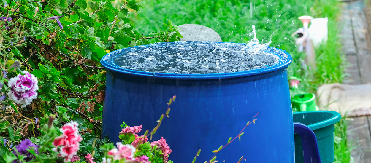Quelle aide financière pour installer un récupérateur d'eau de pluie ?