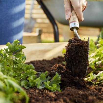 Voici quelques produits organiques pour jardiner naturellement