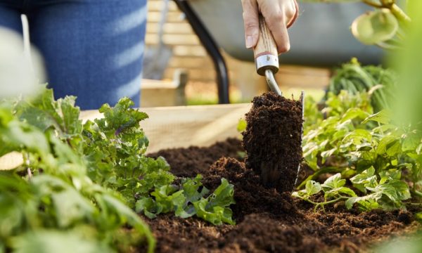 Voici quelques produits organiques pour jardiner naturellement