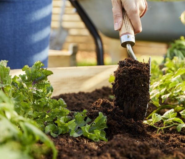 Voici quelques produits organiques pour jardiner naturellement