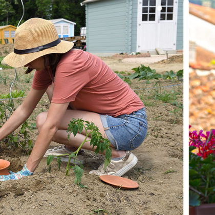 Comment arroser ses plantes quand on part en vacances pendant l'été ? Oyas, plant-sitting et autres astuces