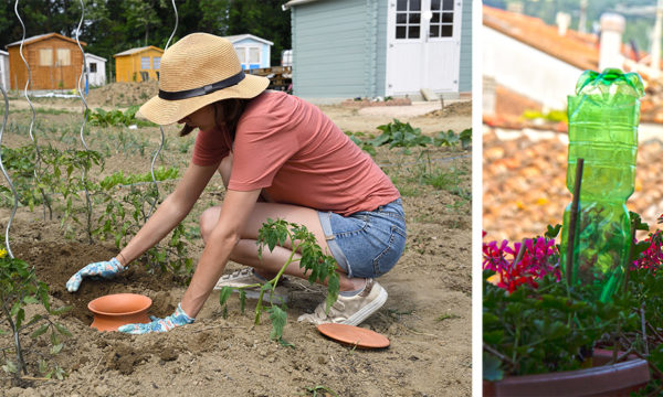 Comment arroser ses plantes quand on part en vacances pendant l'été ? Oyas, plant-sitting et autres astuces