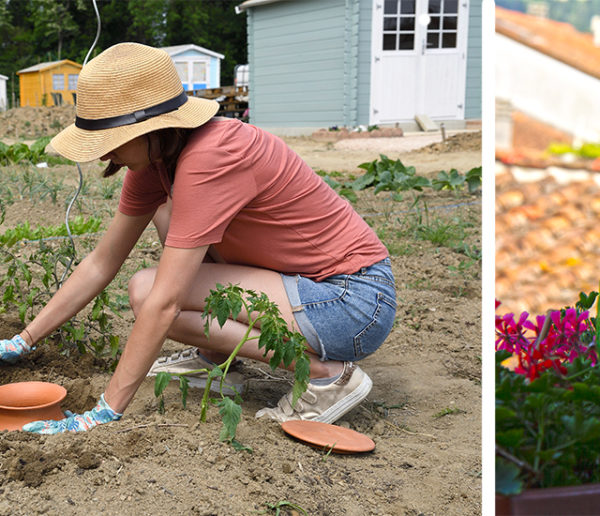 Comment arroser ses plantes quand on part en vacances pendant l'été ? Oyas, plant-sitting et autres astuces