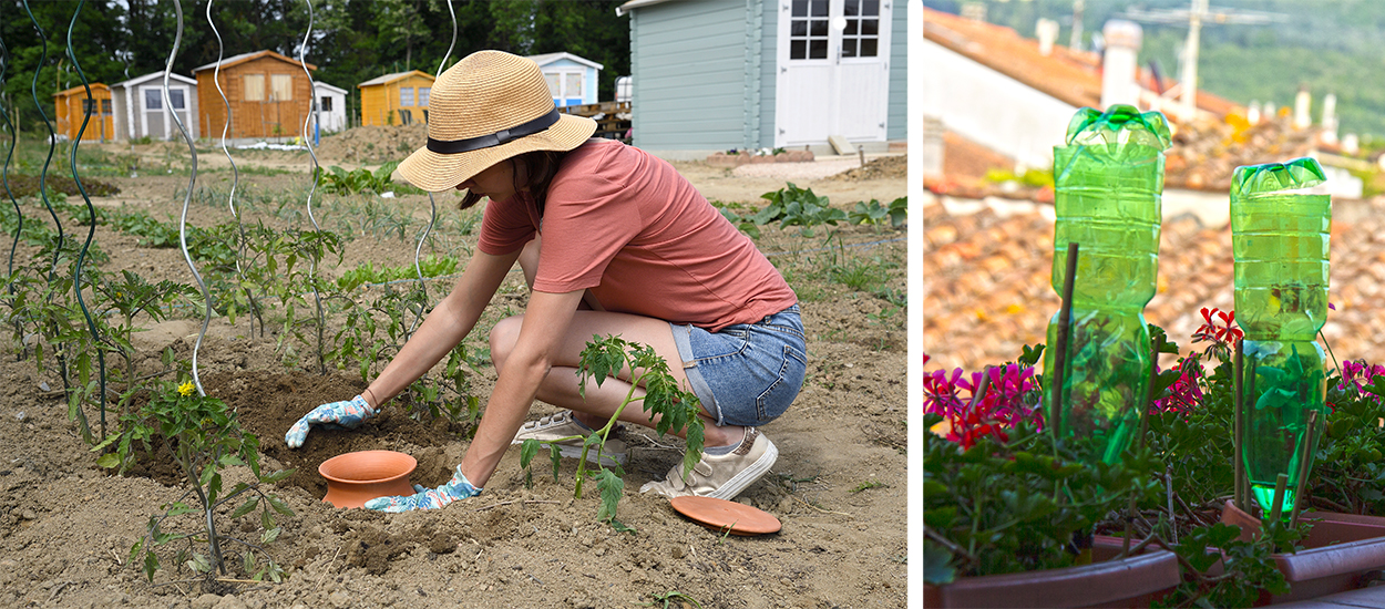 Comment arroser ses plantes quand on part en vacances pendant l'été ? Oyas,  plant-sitting et autres astuces