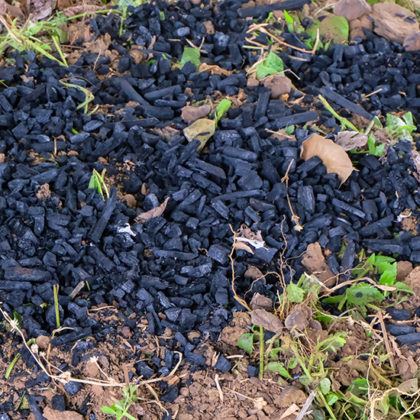 Découvrez le biochar, ce charbon ultra puissant qui fertilise les sols et capte le carbone