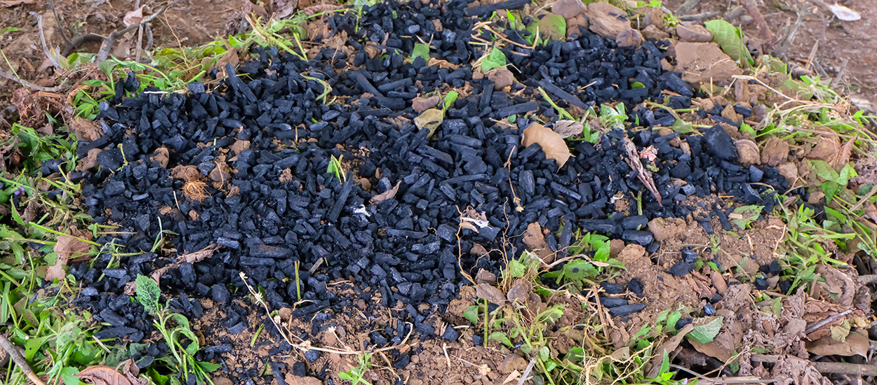 Qu'est ce que le biochar ?