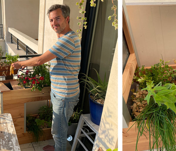 Le Balcomposteur, un composteur de balcon qui fait potager urbain