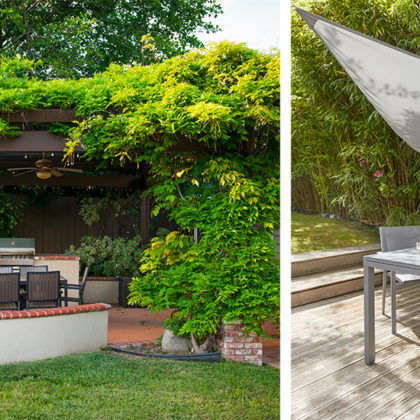 Conseils d'un paysagiste pour aménager un jardin rafraîchissant et éviter les chaleurs caniculaires