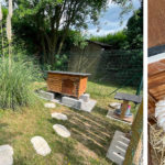 Un poulailler fabriqué à partir d'une niche dans un jardin et des poules pondeuses