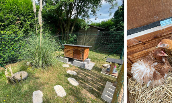 Comment transformer une niche en poulailler fait maison ?