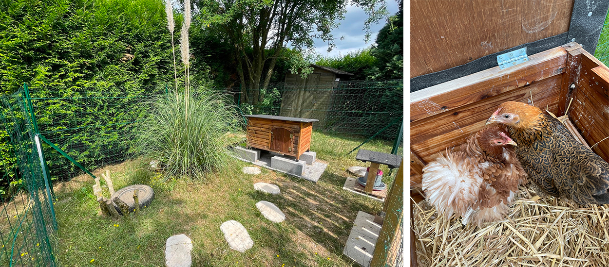 Comment transformer une niche en poulailler fait maison ?