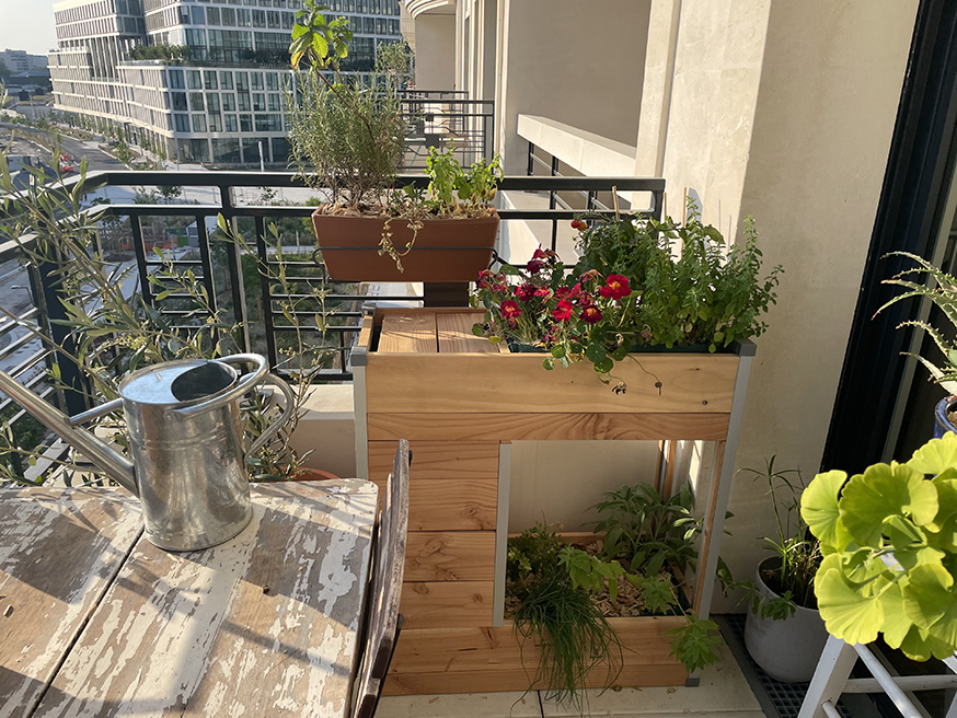 J'ai testé le balcomposteur, un composteur de balcon qui fait aussi potager  urbain