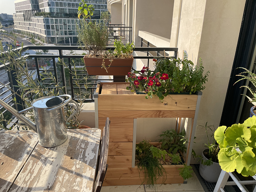 J'ai testé le balcomposteur, un composteur de balcon qui fait