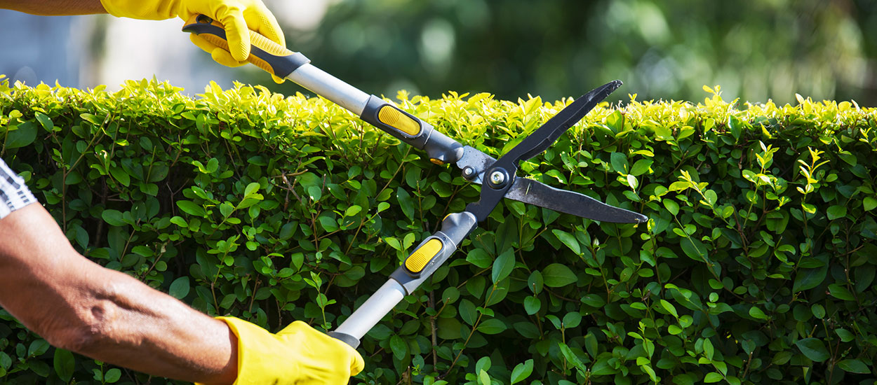 Services à la personne : un crédit d'impôt pour les petits travaux de jardinage