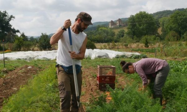 Rhône : Ils ont tout quitté pour faire revivre une ancienne ferme dans le respect de la nature