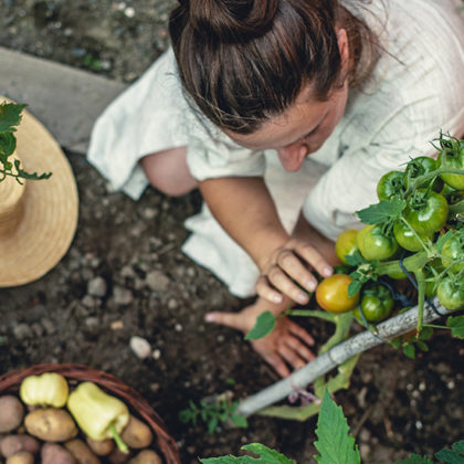 Une taxe sur les potagers bientôt en France ? Une rumeur étonnante qui perdure