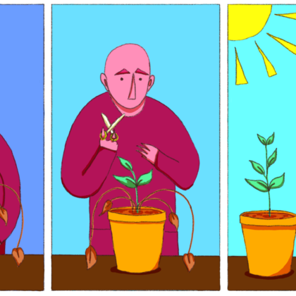 Faites renaître vos plantes grâce à ces gestes simples