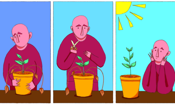 Faites renaître vos plantes grâce à ces gestes simples