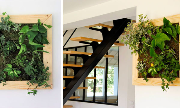 Tuto : Réalisez un cadre végétal pour décorer votre intérieur