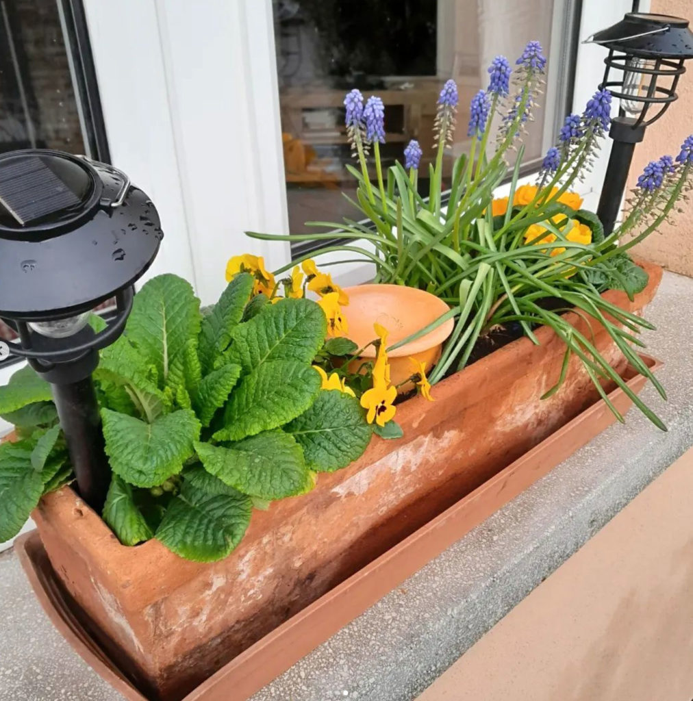 Il a inventé un mini-lombricomposteur pour composter directement