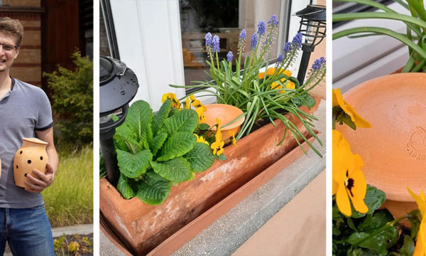 Composter depuis une jardinière avec un mini-lombricomposteur