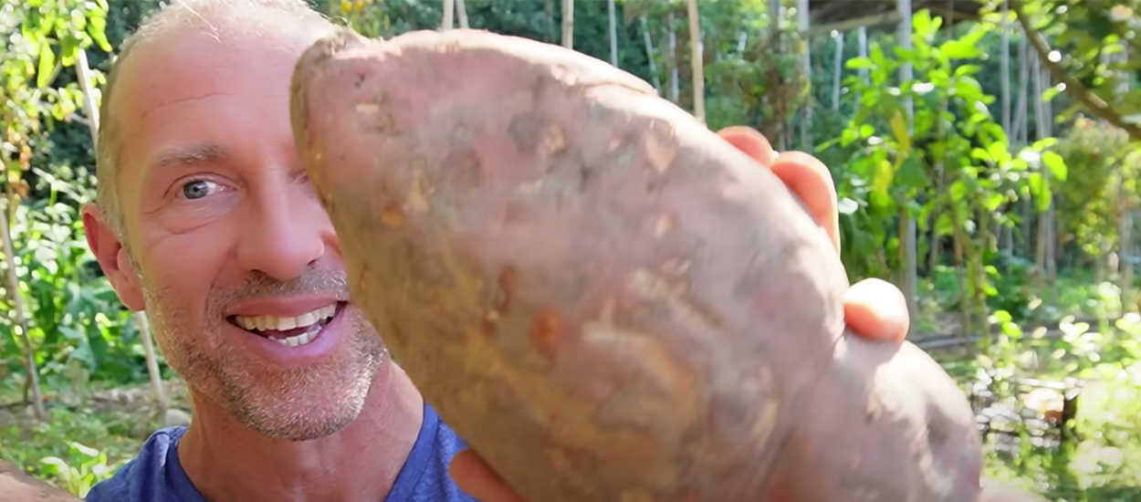 Une patate douce de 2 kilos dans votre jardin ? Olivier vous donne sa recette magique