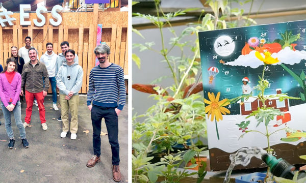 Un calendrier de l'Avent spécial potager avec des semences bio et reproductibles !