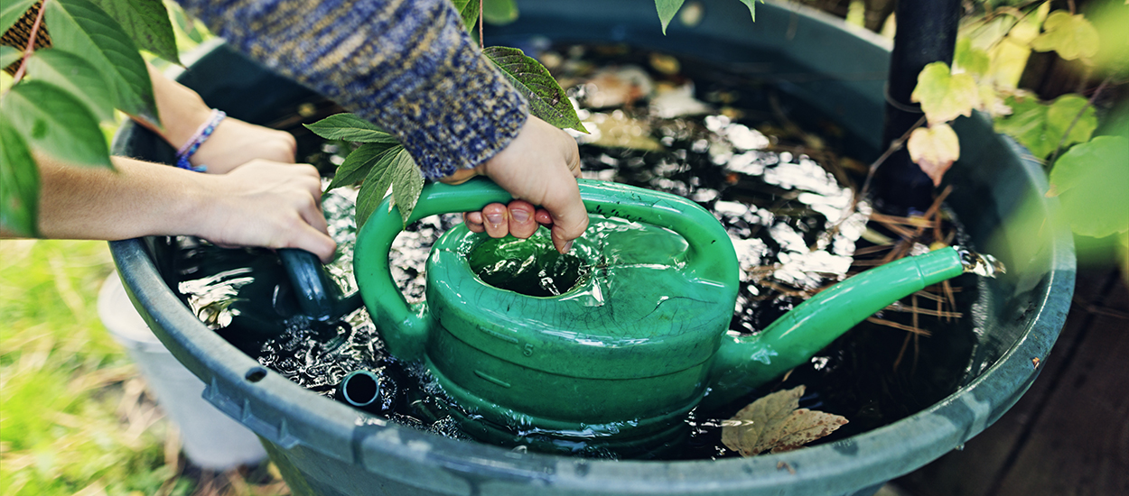 Sera-t-il bientôt interdit d'arroser son potager avec de l'eau de pluie ?