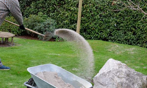 Pourquoi mettre du sable sur votre pelouse peut sauver votre jardin ?