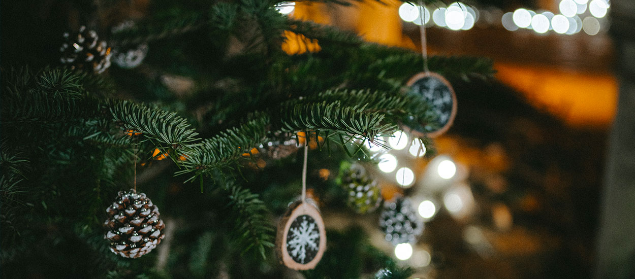 12 décorations DIY pour le sapin en s'inspirant de la nature