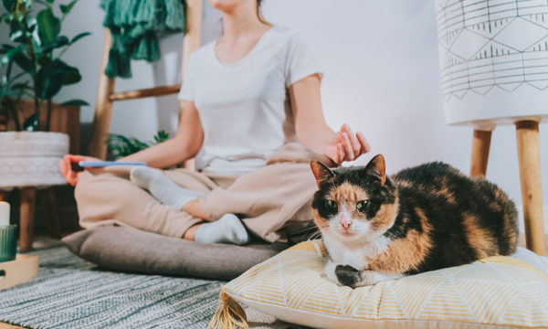 Yoga et méditation : comment se créer un espace dédié chez soi ?