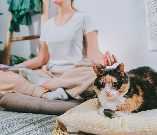 Yoga et méditation : comment se créer un espace dédié chez soi ?