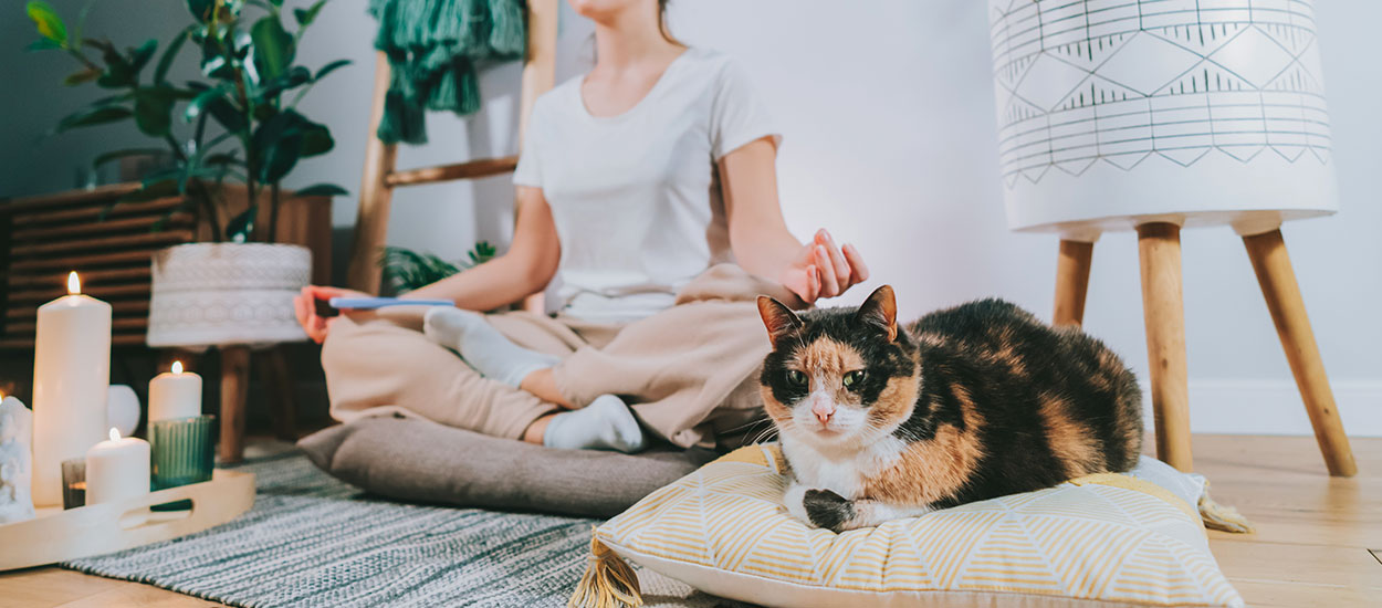 Yoga et méditation : comment se créer un espace dédié chez soi ?