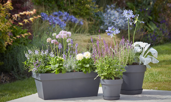 Comment réussir ses jardinières ?