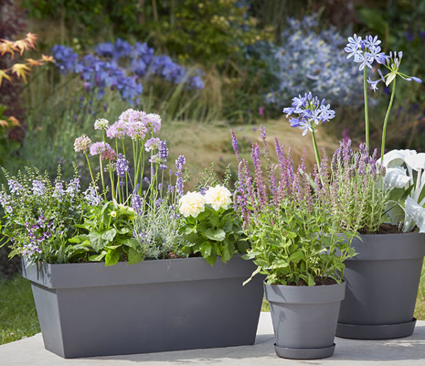 Comment réussir ses jardinières ?