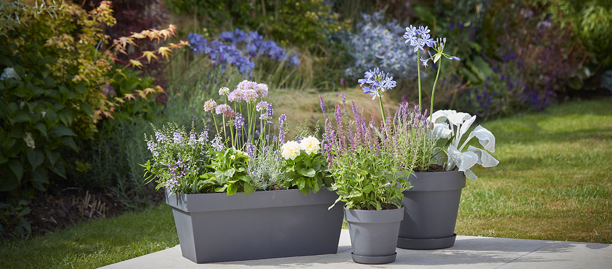 Comment réussir ses jardinières ?