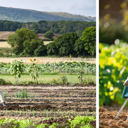 Cet outil de jardinage écologique méconnu préserve les sols et votre santé !