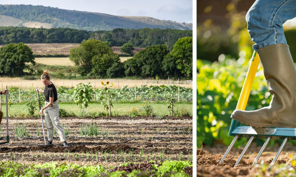 Cet outil de jardinage écologique méconnu préserve les sols et votre santé !