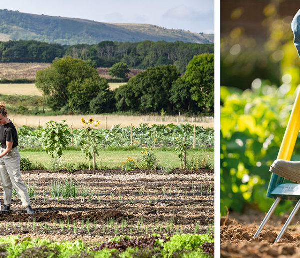 Cet outil de jardinage écologique méconnu préserve les sols et votre santé !