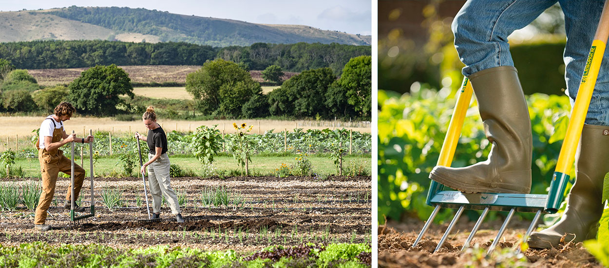 Cet outil de jardinage écologique méconnu préserve les sols et votre santé !