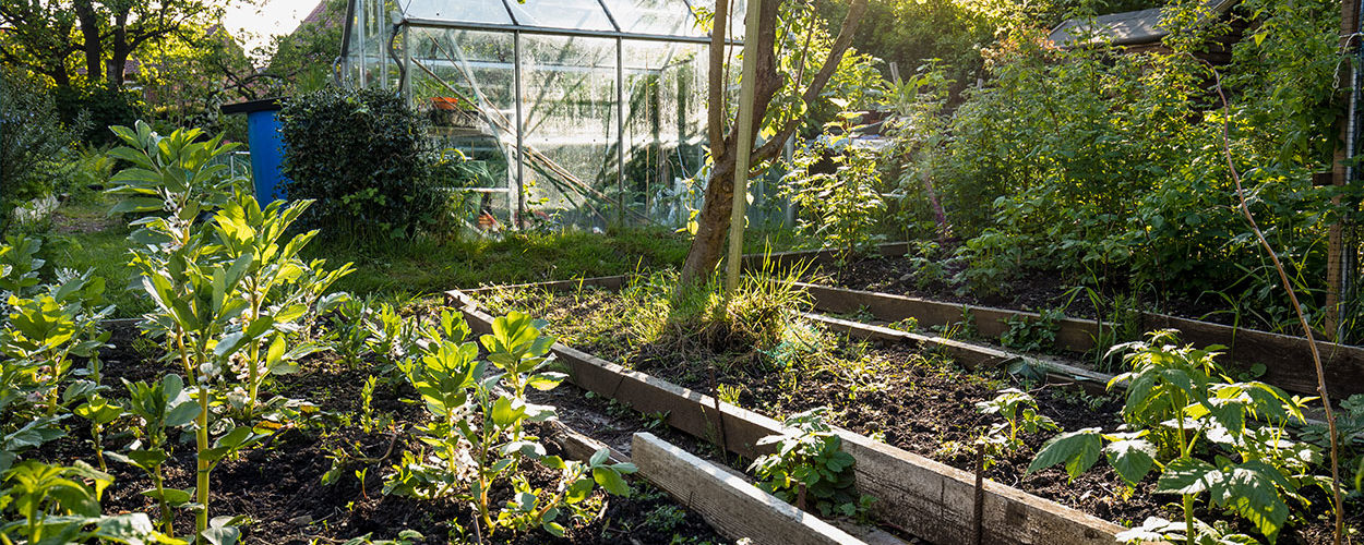 Qu'est-ce qu'un jardin résilient, et comment en faire un chez soi ?