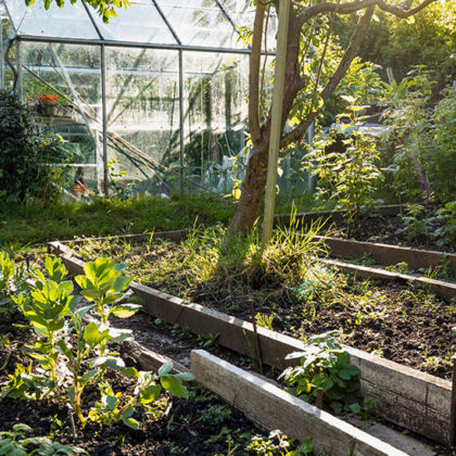 Qu'est-ce qu'un jardin résilient, et comment en faire un chez soi ?