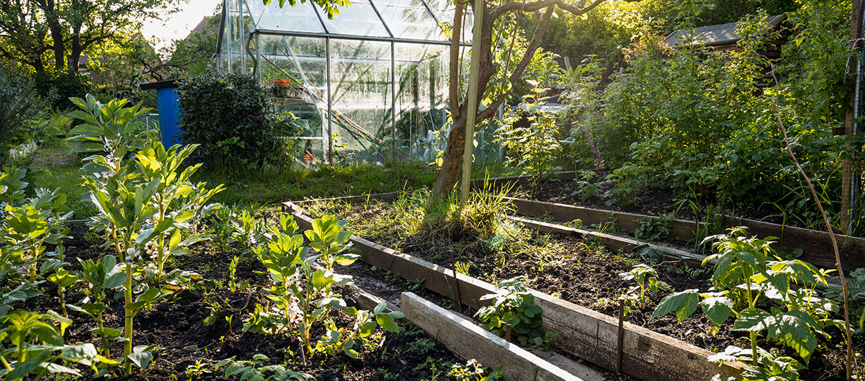 Qu'est-ce qu'un jardin résilient, et comment en faire un chez soi ?