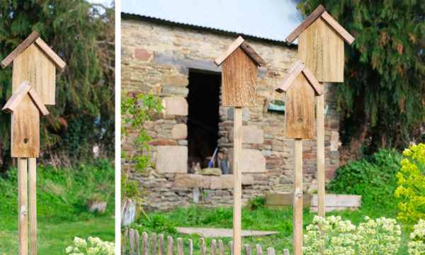 Tuto : Réalisez des décorations de jardin à planter en forme de cabanes à oiseaux