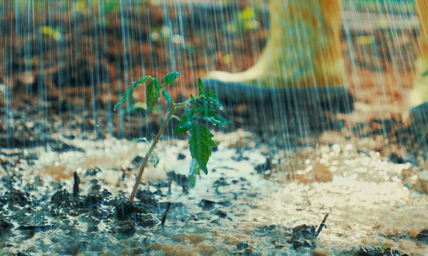 Comment faire pour avoir un sol drainant et éviter les inondations dans son potager ?