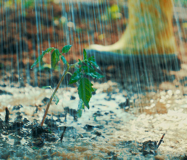 Comment faire pour avoir un sol drainant et éviter les inondations dans son potager ?