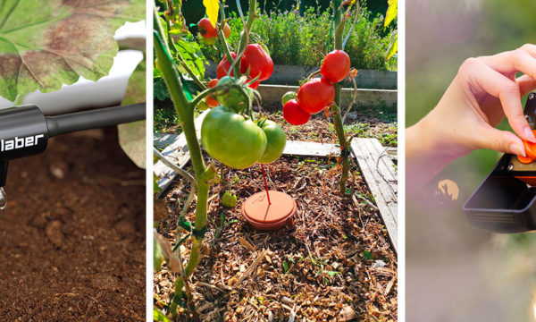 4 solutions pour anticiper le manque d'eau au jardin cet été