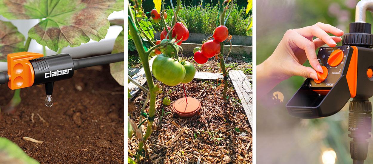 4 solutions pour anticiper le manque d'eau au jardin cet été