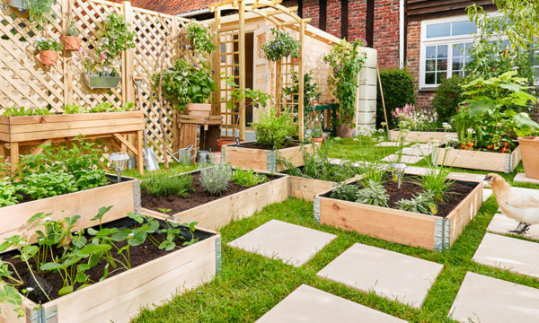 6 tutos et conseils pour créer son potager intérieur ou extérieur